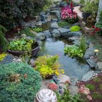 Ecosystem Pond_01