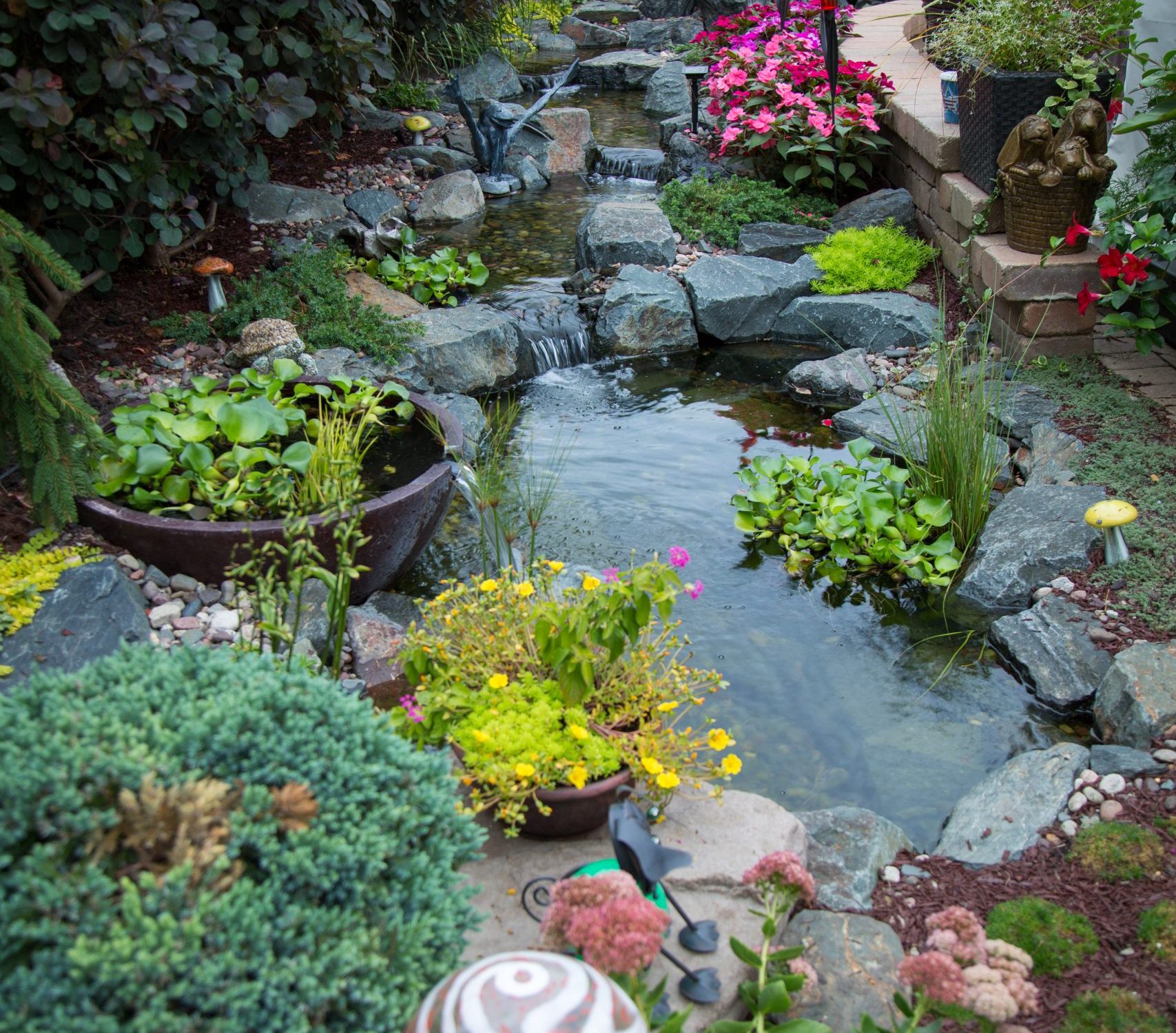Ecosystem Pond_01 Ecosystem Pond_01