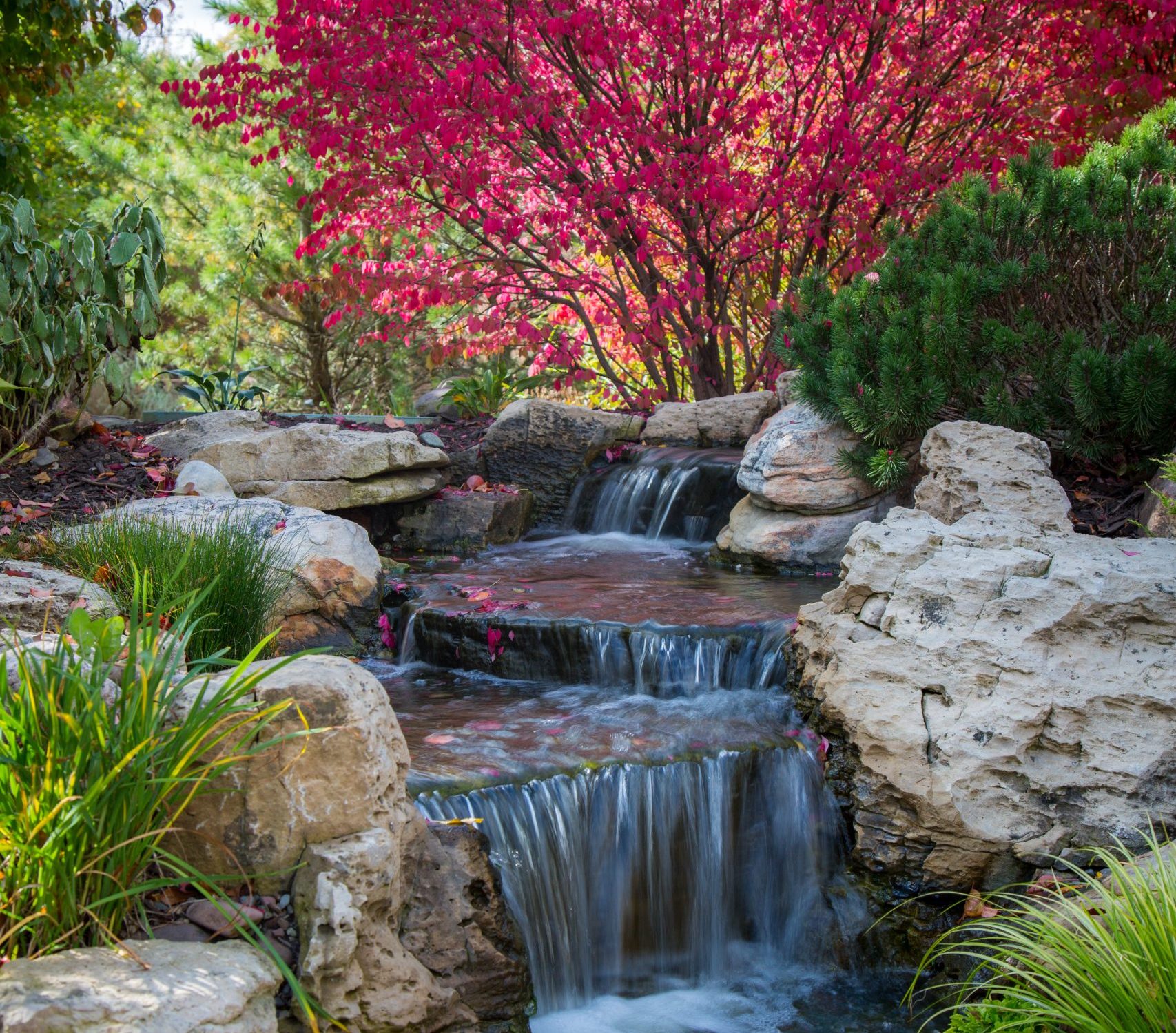 Fall_04 Fall_04